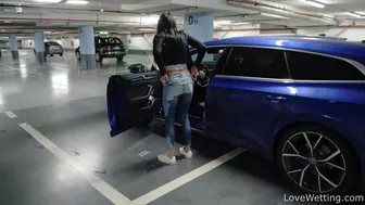 Silvia Black - Christmas shopping, , PissRIP