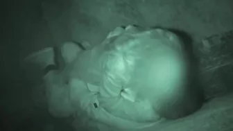 Galician Clip 526-528