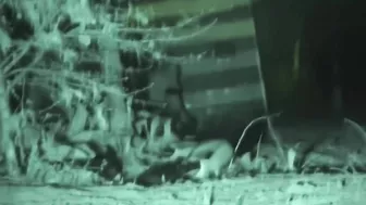 Galician Clip 526-528