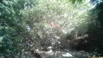 Street Festival Summary 0186