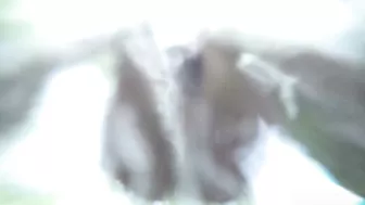 Adela Koutnicka - Sunny Afternoon