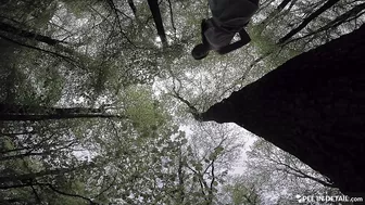 Adela Koutnicka - Sunny Afternoon