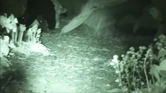 FU10 Night Watching 002