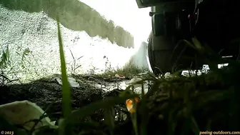 Beer Festival Summary 0087