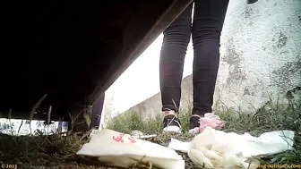 Beer Festival Summary 0087