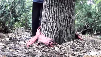 Beer Festival Summary 0087