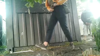 Rock Festival Summary 0377