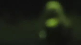 FU10 Night Watching 008