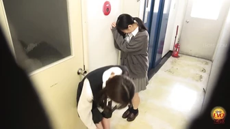 DLEE-764 03 Hidden camera inside high school. Girls line up and pee.