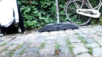 Street Festival Summary 0205