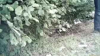 Rock Festival Summary 0370