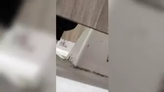 China Toilet Voyeur 1594