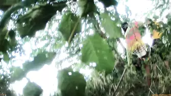 Rock Festival Summary 0382