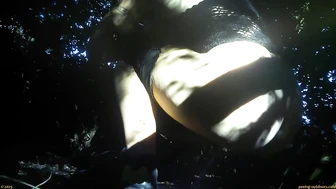 Street Festival Summary 0226