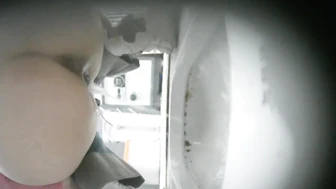 Panoramic view front and back double angles of white tiger (3) 10V