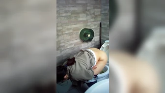 Domestic Panoramic Toilet 26