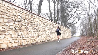 Desperate In The Suburbs