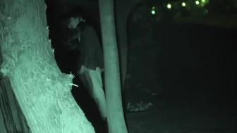 FU10 Night Watching 014