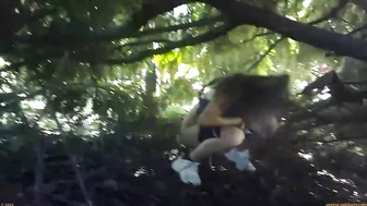 Street Festival Summary 0228