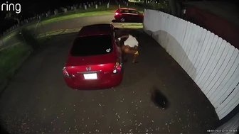 Public Voyeur Pissing Compilation 02