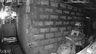 Public Voyeur Pissing Compilation 02