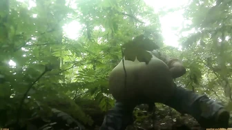 Street Festival Summary 0216