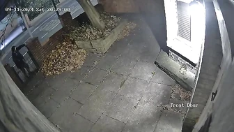 Public Voyeur Pissing Compilation 03