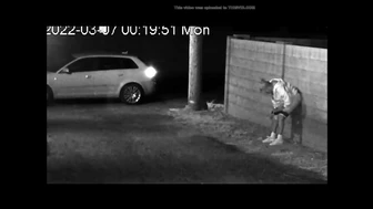 Public Voyeur Pissing Compilation 08