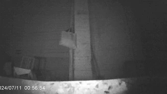 Girl peeing in public at Chinese night market stalls