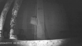 Girl peeing in public at Chinese night market stalls