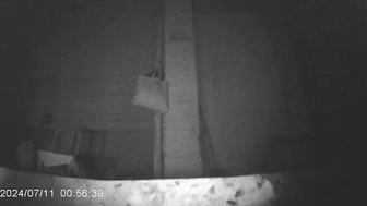 Girl peeing in public at Chinese night market stalls