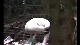 Public Voyeur Pissing Compilation 10