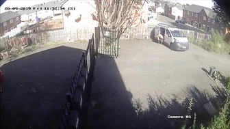 Public Voyeur Pissing Compilation 13