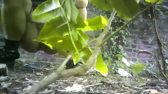 Street Festival Summary 0229