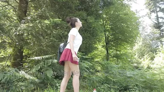 Desperate in the Forest