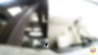 DLSL-494 01 School girls panicky run to restroom for emergency pee!