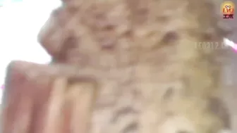 DLEE-041 01 Twitching female anal holes on toilet! Ass crack and urination voyeur