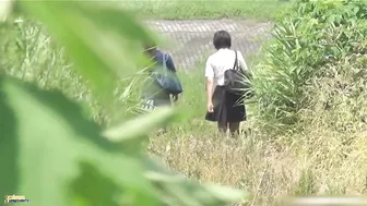 DLSL-019 01 Elementary school girls students joint urination Superb viewing spot! (Uncensored)