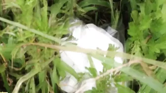 DLSL-019 02-2 Elementary school girls students joint urination Superb viewing spot! (Uncensored)