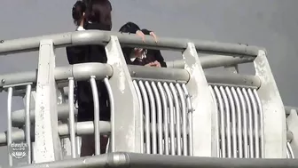 DLSL-01 02 Girls students-kittens mischief peeing in the field