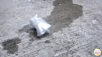 DLSL-078 01 Peeing housewives. Outdoor urination of married women