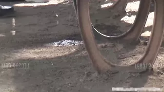 DLSL-035 01 School girls fooling around and peeing together. (Uncensored)