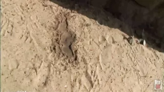 DLJG-151 03 Self-filmed outdoor urination. Amateur girls doing it in standing position