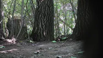 women pee park part 1, Voyeur Collection, PissRIP
