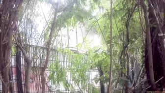 Beer Festival Summary 0061