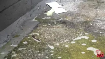 DLFF-096 03 Women’s pleasant peeing in standing position. Outdoor voyeurism