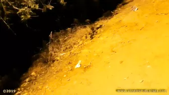 The Galician Gotta 181